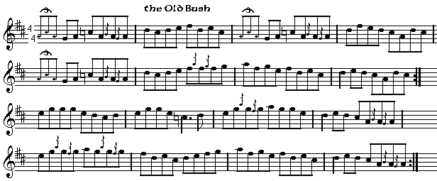 the Old Bush